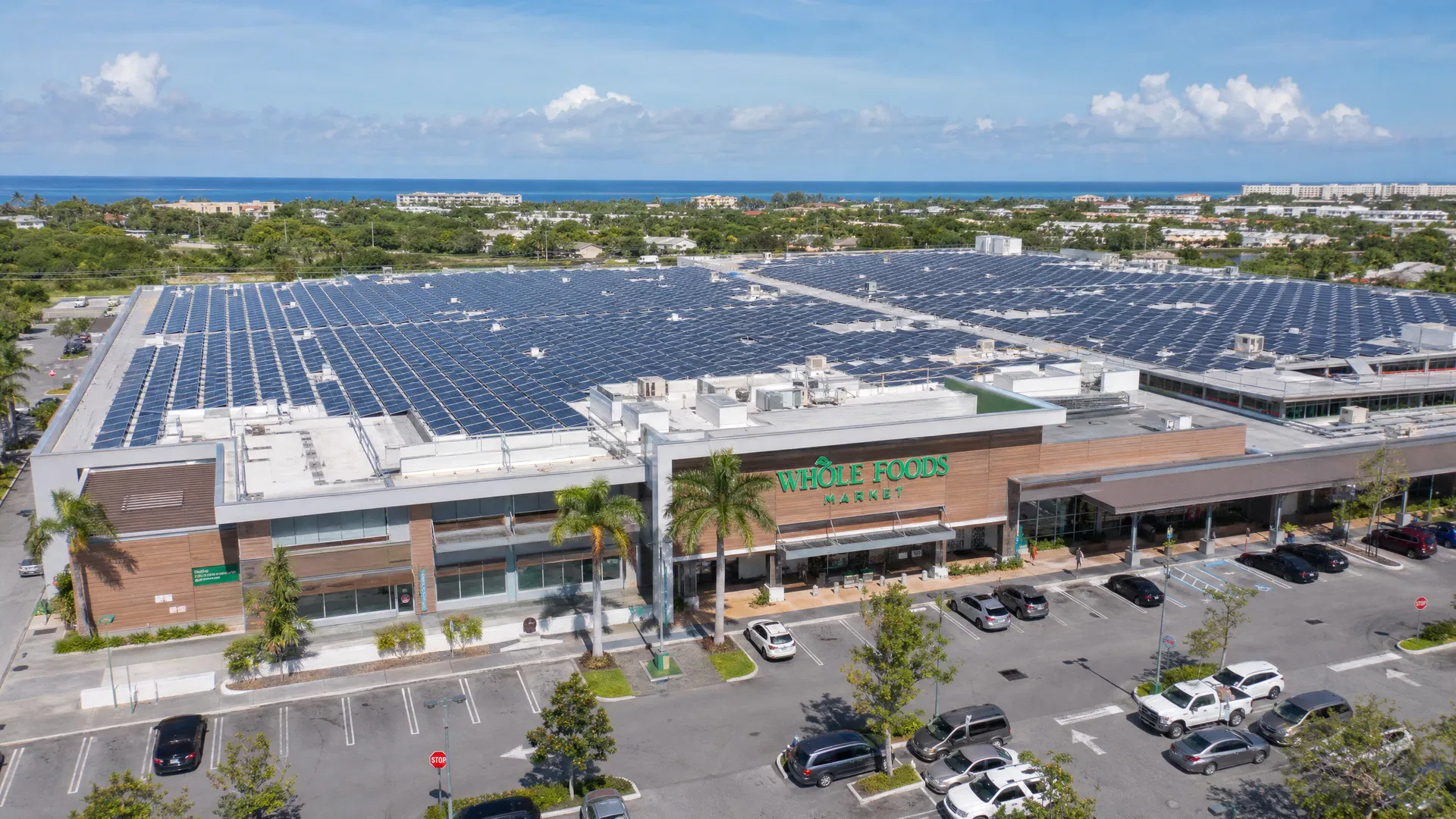 Medium Scale Distributed Generation — Phase 2